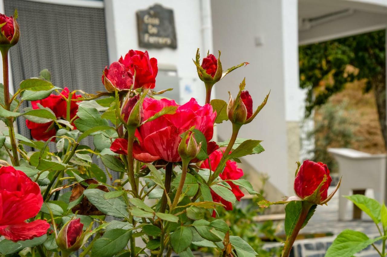 Casa Do Ferreiro Villa Góis Екстериор снимка